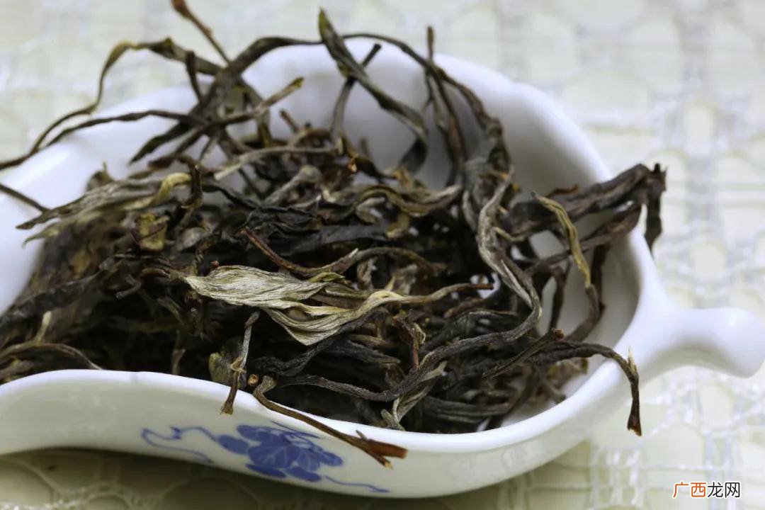 倚邦属于易武茶吗,倚邦麻栗树古树茶特点？