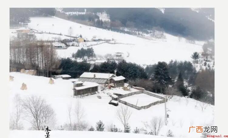 《雪》的作者是谁_人文频道 《雪》的作者是谁
