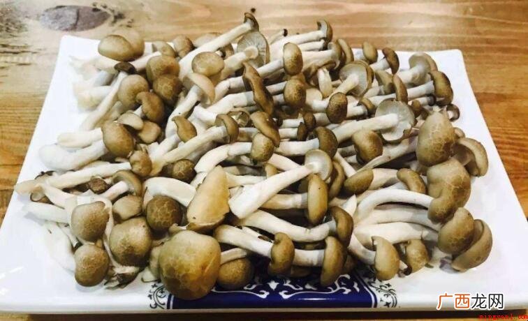 蟹味菇为什么要焯水_健康频道 蟹味菇为什么要焯水