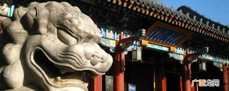 门口有两座铜狮子的大学