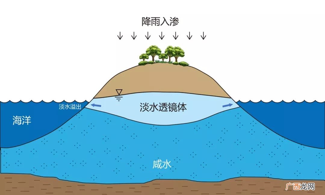 海水可以过滤成淡水吗,海水可以净化淡水吗？