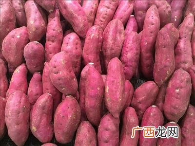 红薯产地在哪里,全国红薯产量最多省份？