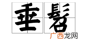 黄发垂髫的垂髫是什么意思,白发垂髫什么意思？