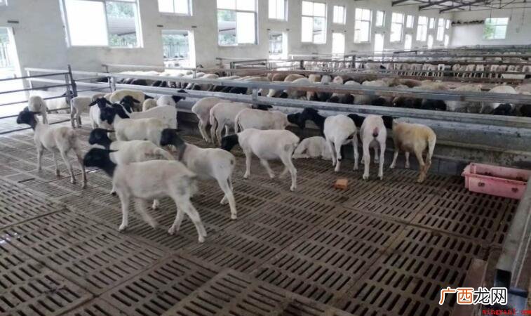 养殖场搬迁需要什么手续