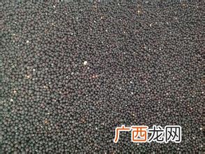 满天星花是什么样子,满天星的介绍？