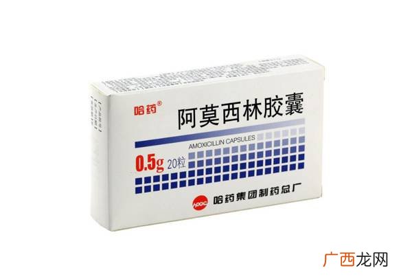 哪些消炎药可以给狗吃,土霉素阿莫西林主治狗什么病？