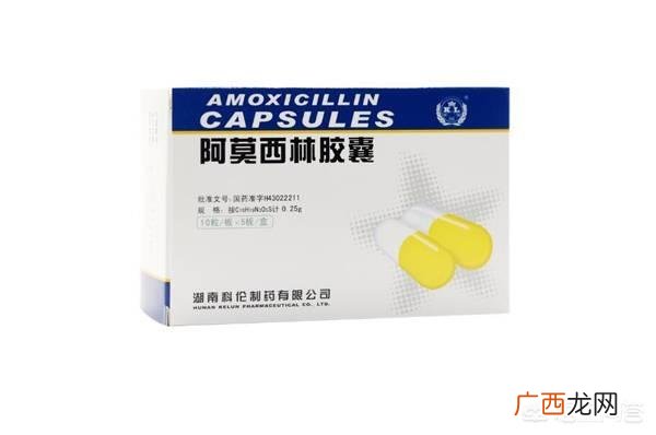 哪些消炎药可以给狗吃,土霉素阿莫西林主治狗什么病？