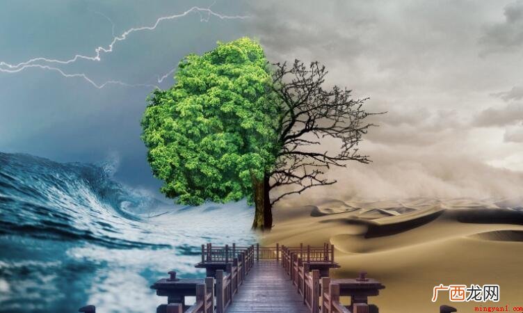 保护环境的公益性广告词有哪些 保护环境的公益广告词有哪些