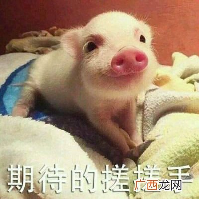 网络词名场面什么意思,为什么游戏中人物角色死亡叫“挂了”，这个词怎么来的？
