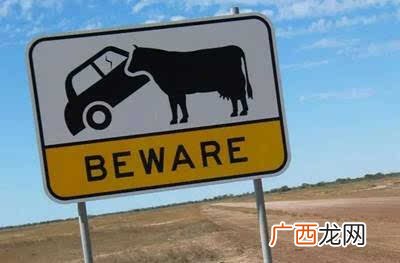 交通路标怎么看,交通线路的形状有哪些？