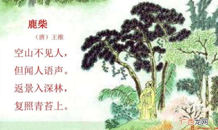 返景入深林复照青苔上的意思是什么