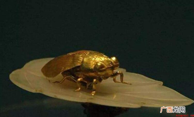 古代人觉得金蝉避开路面,独孤而清傲,不食人间烟火,只饮露珠 金蝉的寓意是什么