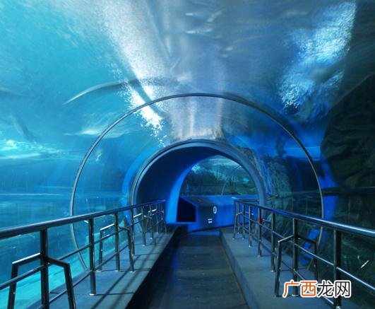 海底隧道在哪个城市,大连湾海底隧道始末？