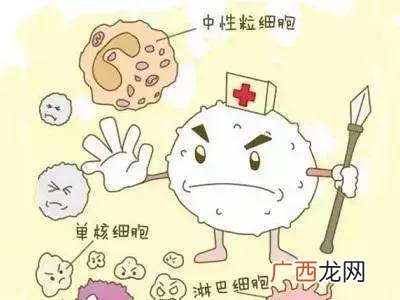 白细胞数目正常多少,正常人的白细胞是多少？