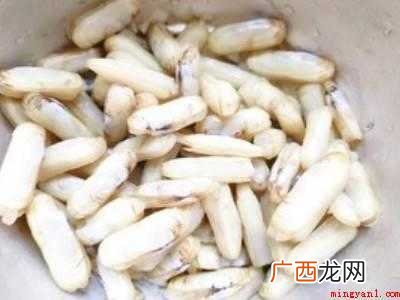 蛏子怎么炒