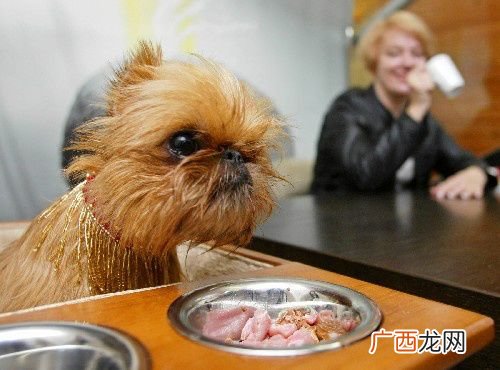 狗狗不能吃什么,狗狗不能吃的十大水果?