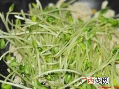 青豆苗怎么炒才好吃