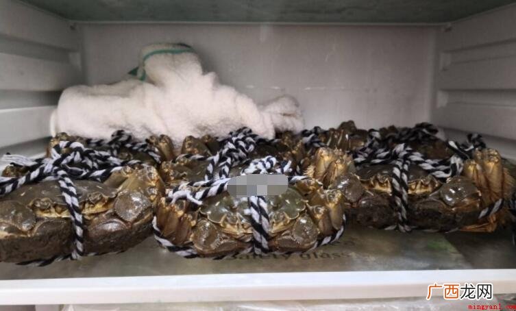 螃蟹冷藏为何要盖上湿毛巾 螃蟹冷藏为什么要盖上湿毛巾
