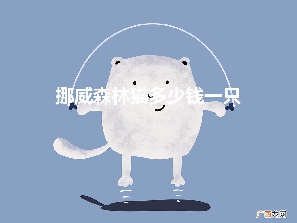 挪威森林猫多少钱一只（十大名贵猫排名)