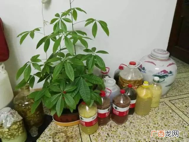 环保酵素的制作方法,环保酵素做好？
