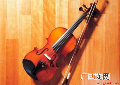 常见的小提琴有几根弦 小提琴几根弦