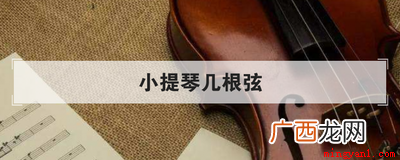常见的小提琴有几根弦 小提琴几根弦