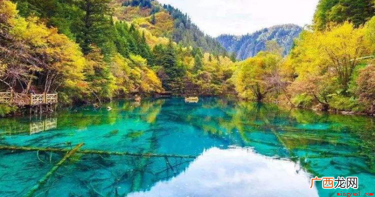 九寨沟在四川哪