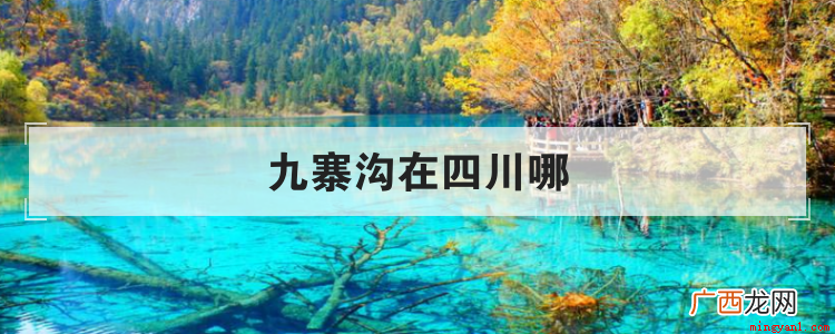 九寨沟在四川哪