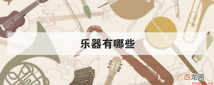 乐器一般可以分为民族乐器与西洋乐器吗 乐器有哪些