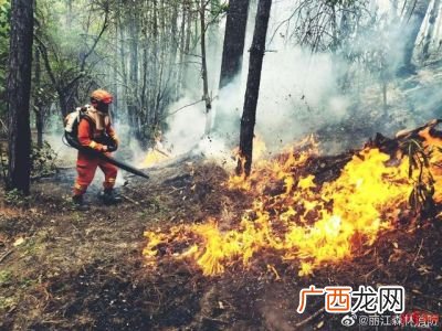 扑救森林火灾的方法,森林以水灭火的注意事项有哪几项？