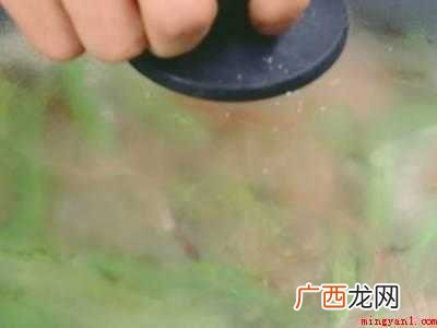 焖面条怎么做