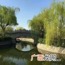 高陵区景点,泾渭分明景区？