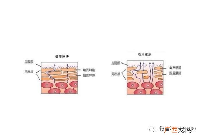什么是皮肤耐受性,全脸清洁多久一次？