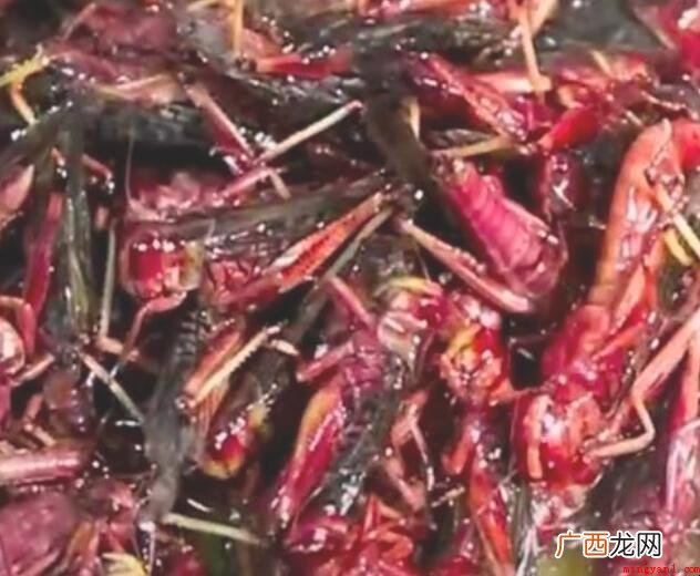 油炸蝗虫的做法步骤是什么