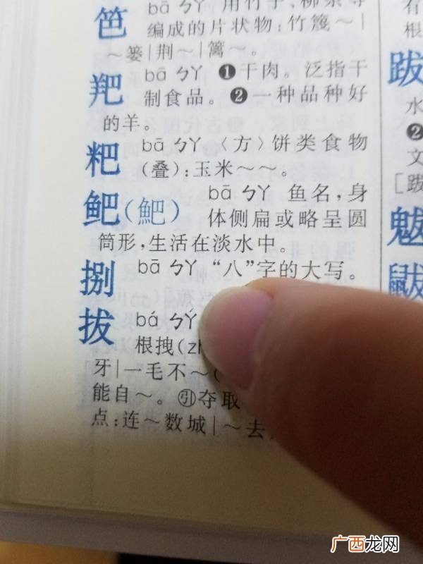 声母表啥意思,拼音声母是什么?