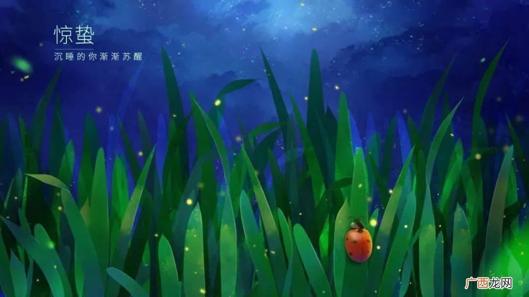 昆虫记精彩片段赏析,昆虫记三个细节描写片段赏析？