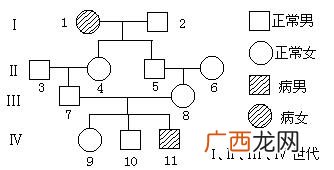 家族遗传系谱图怎么看,遗传图解是模型吗？