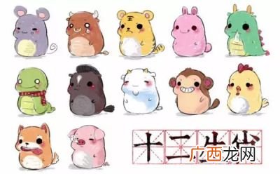 十二生肖中最大的动物是什么,十二生肖中最大只的动物有哪几个？