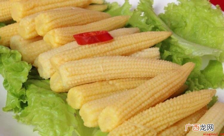 玉米笋的作用与功效是什么 玉米笋的功效与作用是什么