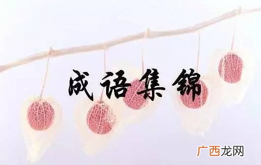 测字开头的成语有那些,“测”字开头的四字成语有哪些？