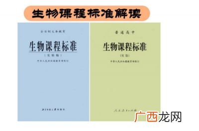 什么叫做课程标准,教师要具备哪些核心素养？