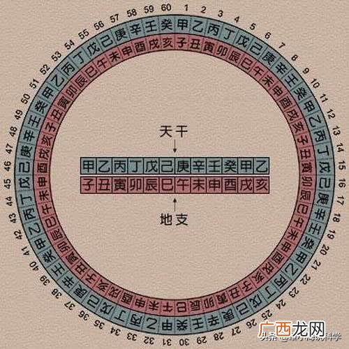 公元纪年法是什么时候开始的,什么时候开始称公元？