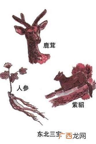 东北三宝是什么东西,东北三件宝是什么？