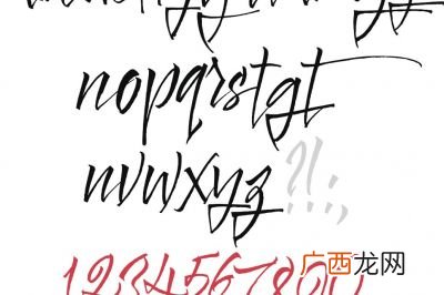 生开头字的四成语,什么生什么语的四字成语？
