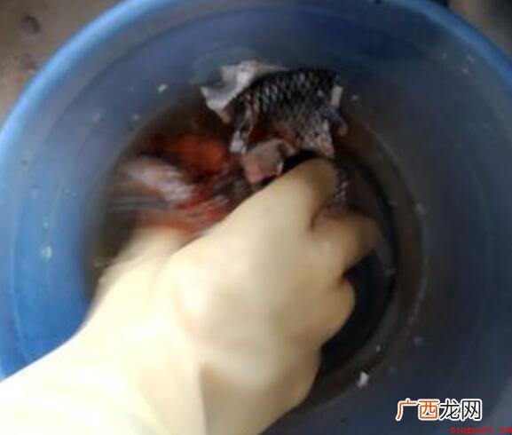整块猪肝怎么煮嫩_健康频道 整块猪肝怎么煮嫩