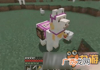 我的世界里有什么动物,我的世界基岩版怎么驯服动物？