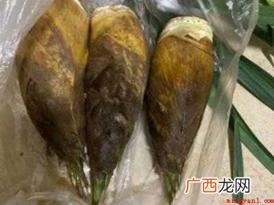 楠竹笋怎么做好吃共有5步 楠竹笋怎么做好吃