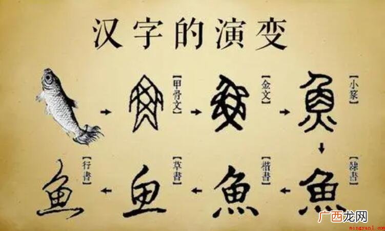 汉字的演化作文怎么写? 汉字的演变作文怎么写