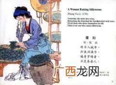 遍身罗绮者不是养蚕人是什么意思,养蚕的穿不上蚕丝的哪首诗？
