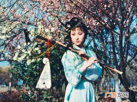 红楼梦中林黛玉为什么会葬花,黛玉葬花是什么意思？
